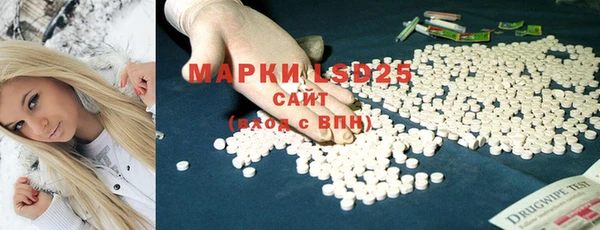 PSILOCYBIN Аркадак