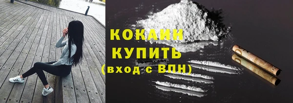 PSILOCYBIN Аркадак