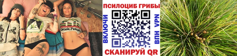 Купить закладки  Красный Сулин  Галлюциногенные грибы ЛСД 