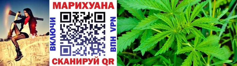 Купить где  Красный Сулин  Конопля гибрид 